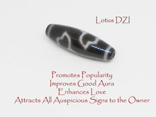 Load image into Gallery viewer, Black Tourmaline with Specialty DZI Bracelet - Healing Gemstones