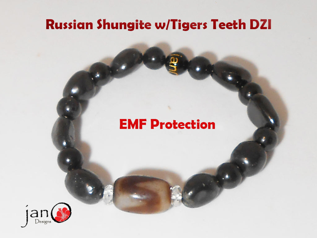 Russian Shungite w/Tigers Teeth DZI Bracelet - Healing Gemstones A