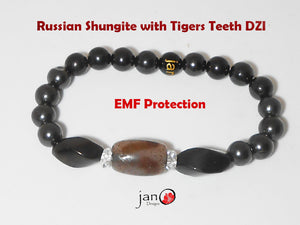 Russian Shungite w/Tigers Teeth DZI Bracelet - Healing Gemstones c