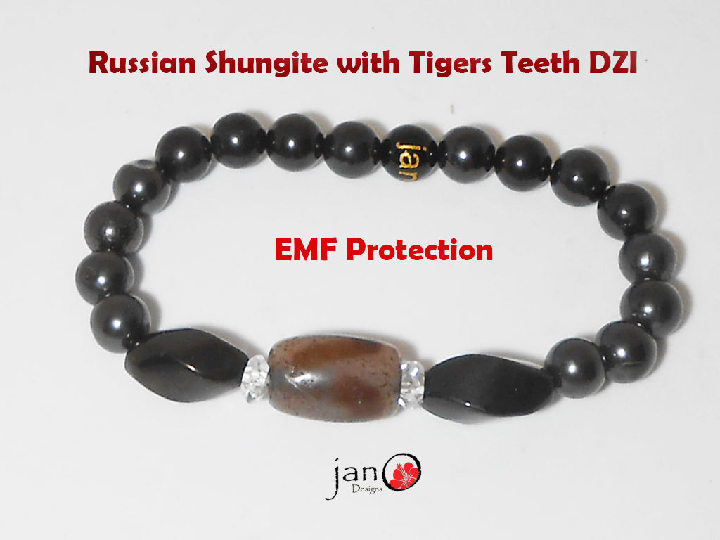 Russian Shungite w/Tigers Teeth DZI Bracelet - Healing Gemstones c