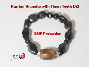 Russian Shungite w/Tigers Teeth DZI Bracelet - Healing Gemstones D