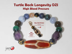 Turtle Back Longevity DZI High Blood Pressure w/Free Fathers Day Key Charm - Healing Gemstones